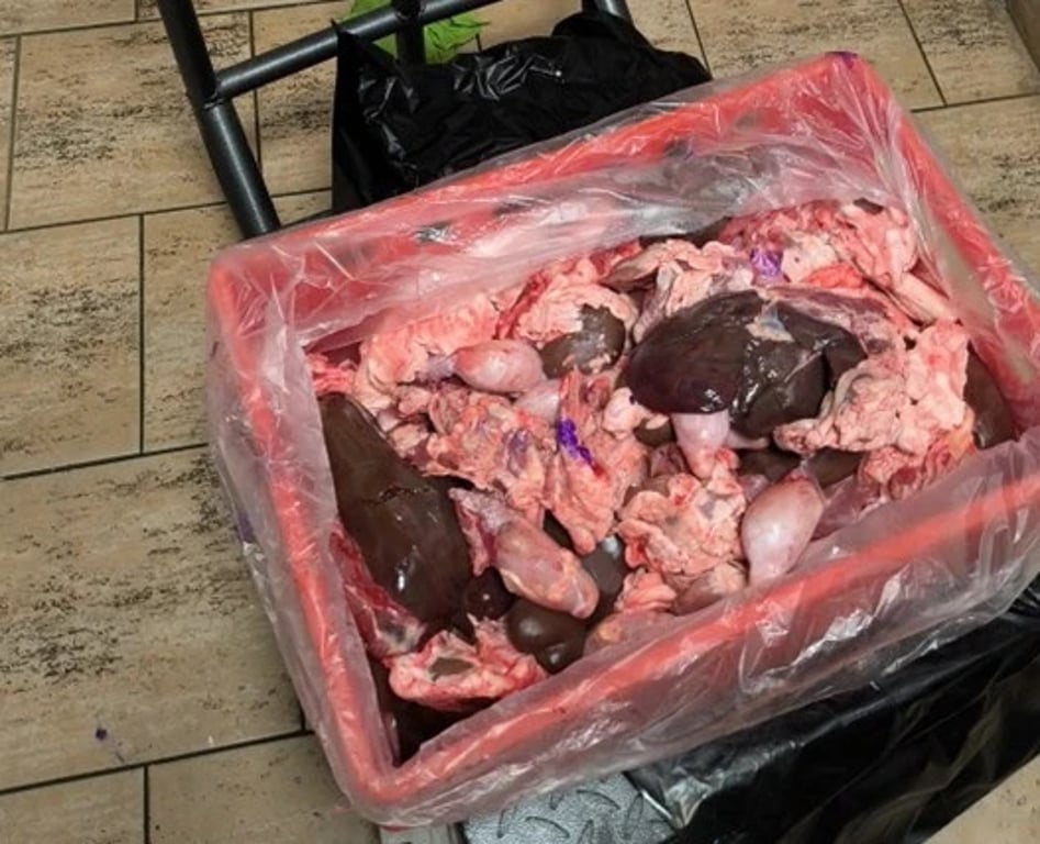 Veterináři v pražském řeznictví zabavili téměř 400 kilogramů podezřelého masa