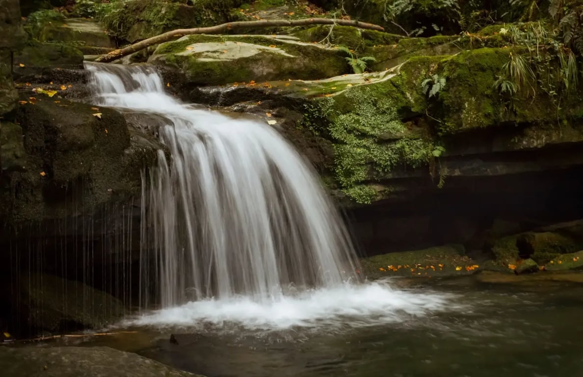 Kam se hrabe Niagara. Bezkonkurenčně nejkrásnější vodopády najdete v Beskydech. Okolí vypadá jako v pralese a Češi o nich naštěstí nevědí