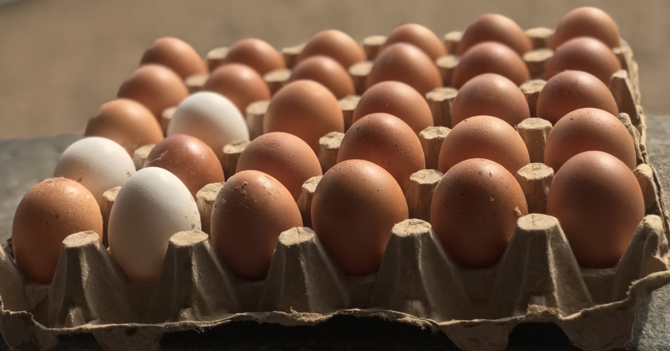 Muž si koupil zdánlivě obyčejné plato vajec. Při smažení ho doma málem trefil šlak
