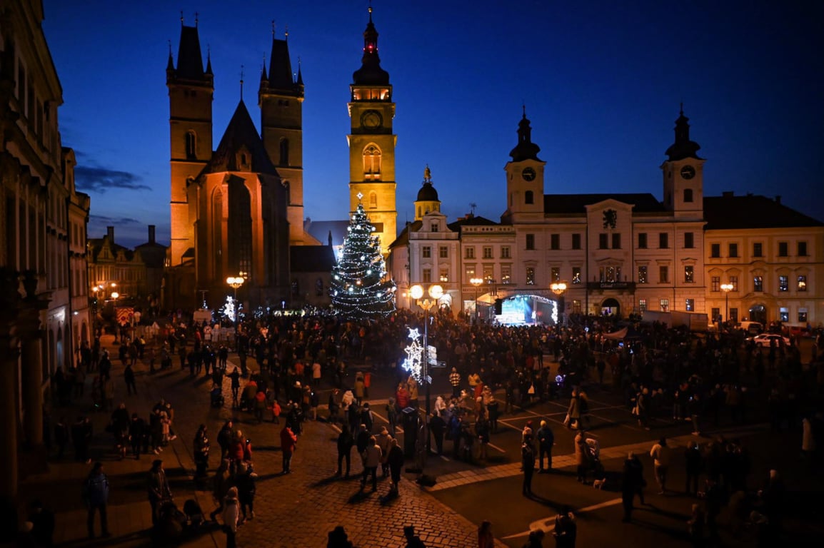 Hradec hledá vánoční stromy. Město nabízí dřevo i odfrézování pařezu zdarma