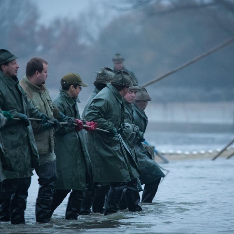 Výlovy rybníků na Budějovicku