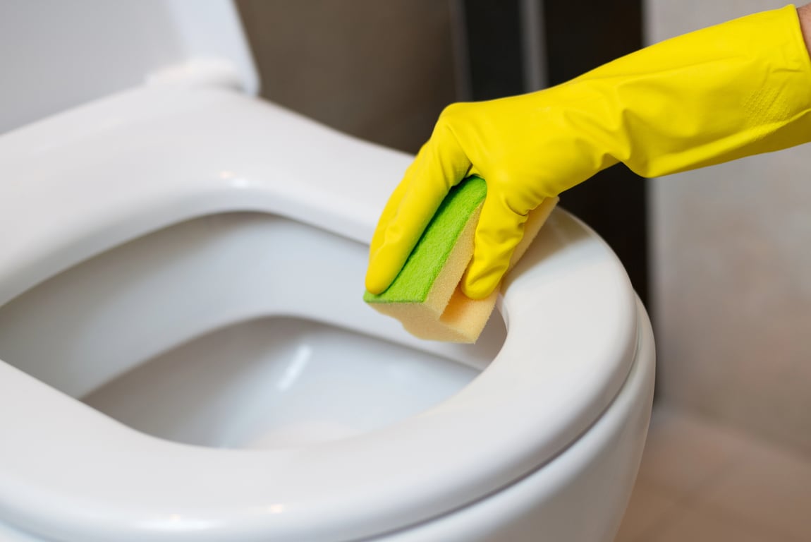 Češi pořád věří chemii z obchodu. Přitom mají doma zázrak na čištění toalety