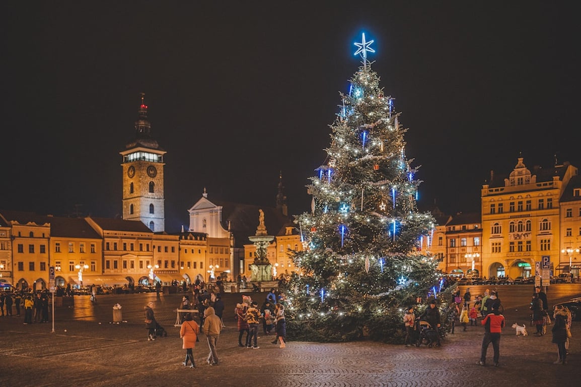 Město má vánoční strom. Náměstí ozdobí jedle ze Starých Hodějovic