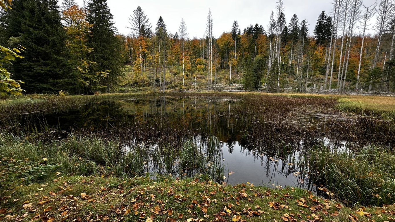 Ze Železné Rudy přes zaniklé Ferdinandovo údolí k tajemnému jezírku Obere Schwelle