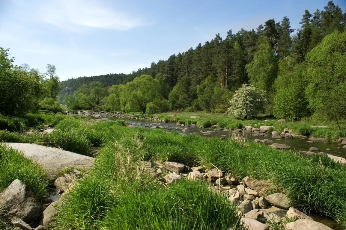 Stvořidla 