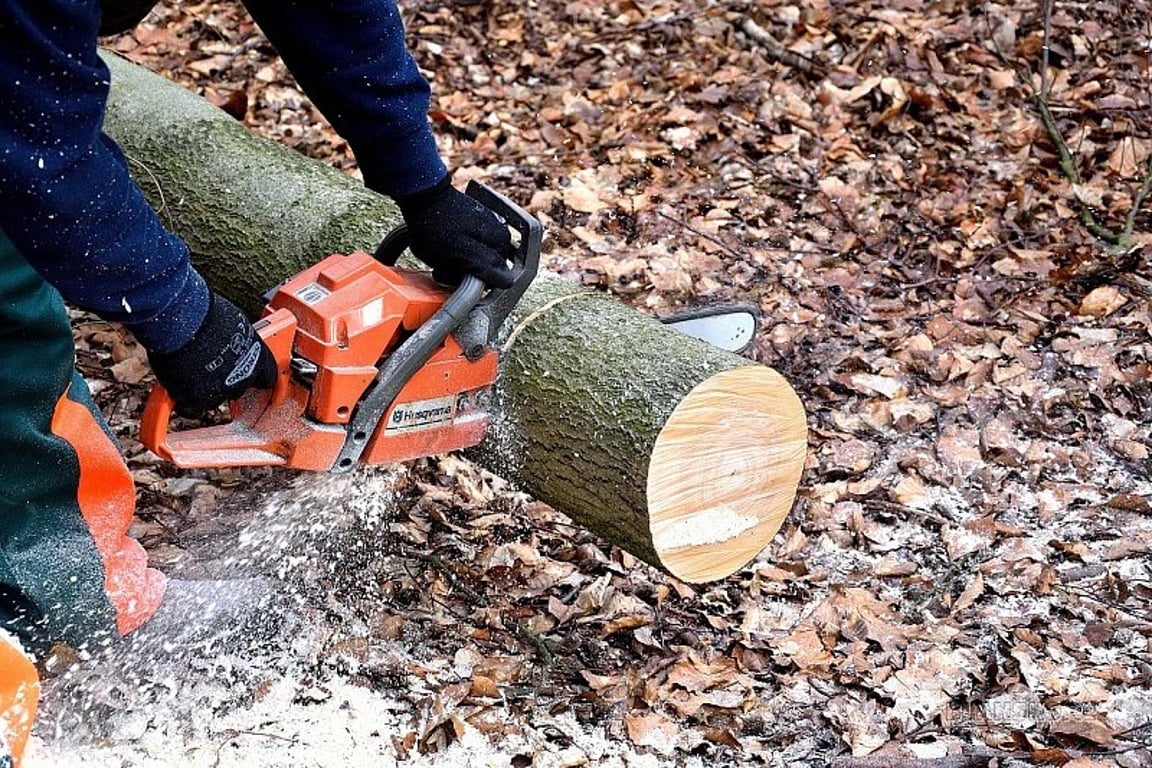 Na pracovníka v lese spadl strom. Na místě zemřel