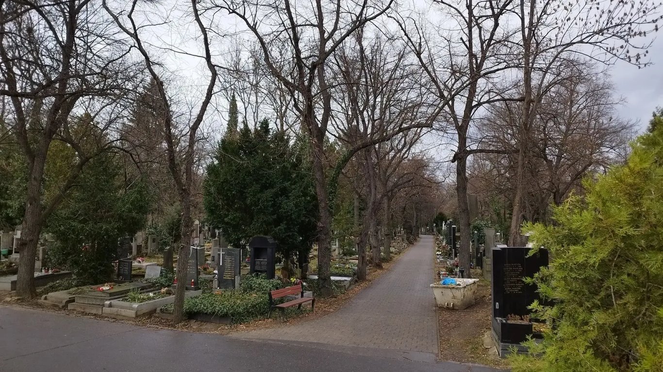 Listopad 2025 bude nejpodivnější za mnoho let. Nic takového nepamatují ani zkušení meteorologové