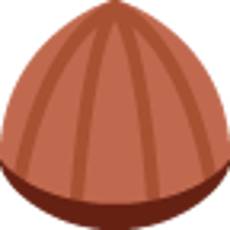 🌰