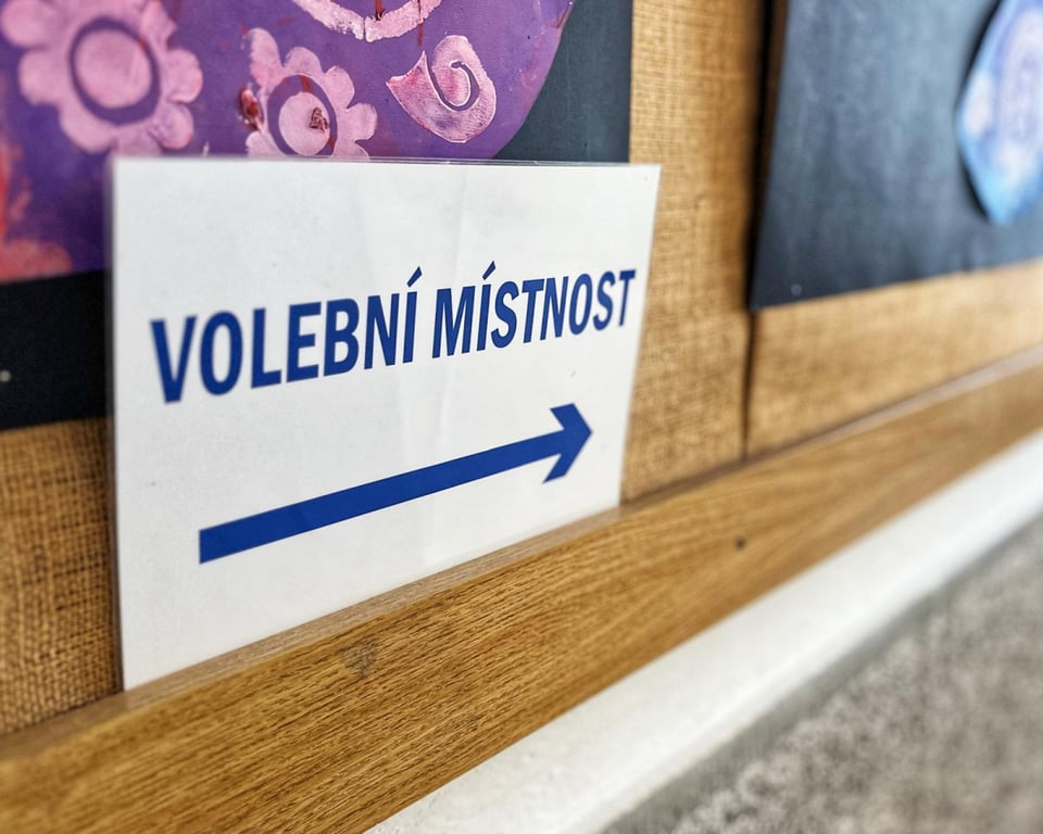 Volby v okresech: ANO volil každý třetí Třebíčan, nejnižší účast měla Jihlava