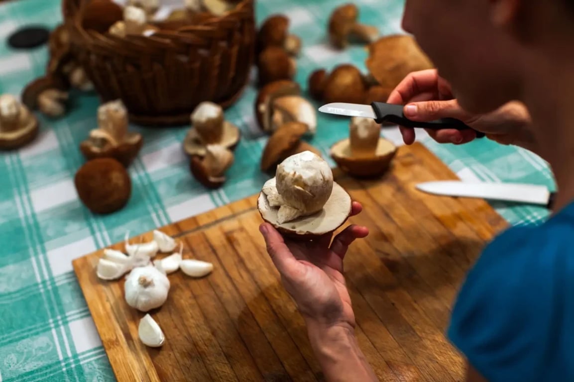 mladý chlapec čistí houby z lesa