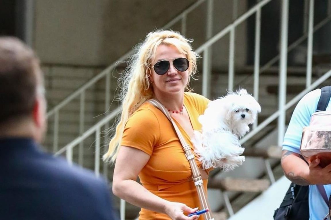 Exmanžel obvinil Britney Spears z útoku na vlastního syna. „Mám poškozený mozek,“ reaguje zpěvačka