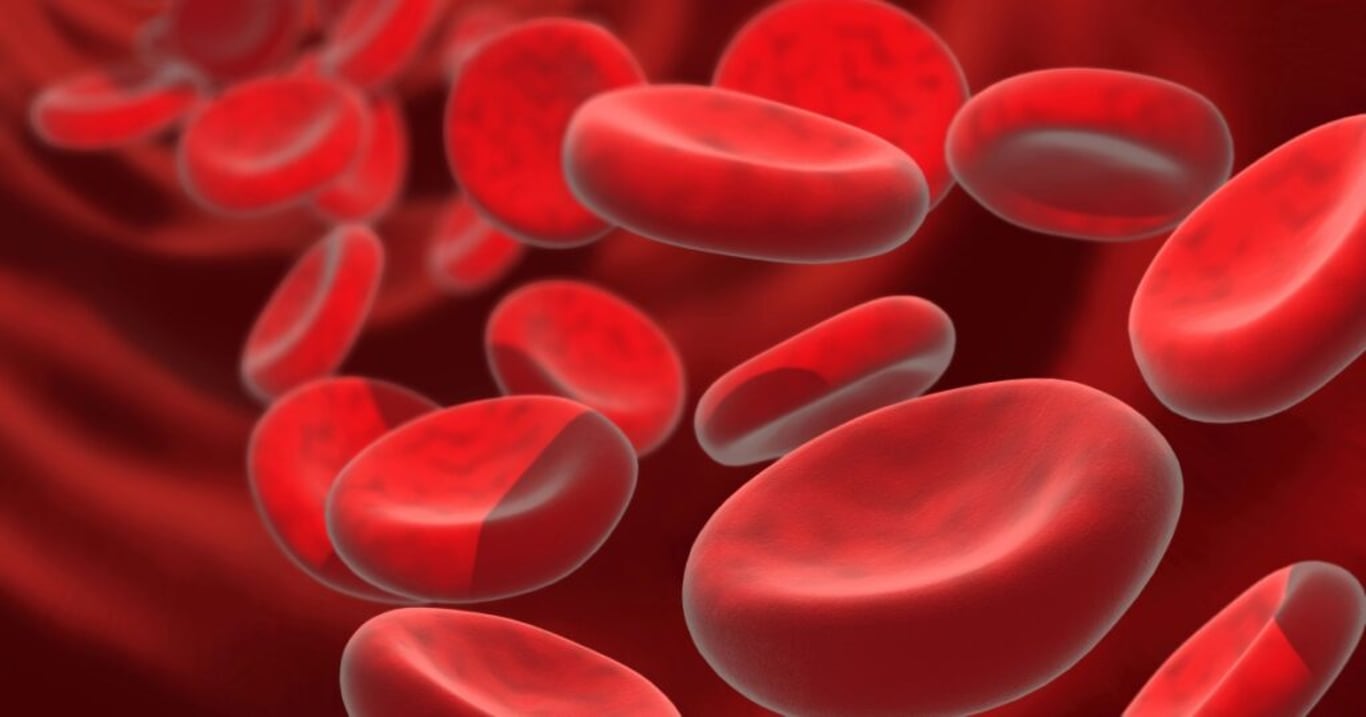 Nízký hematokrit je třeba řešit úpravou jídelníčku. Pomohou i citrusy a mléčné výrobky