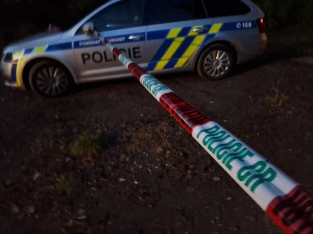 Žena obviněná z vraždy své dcery míří do vazby