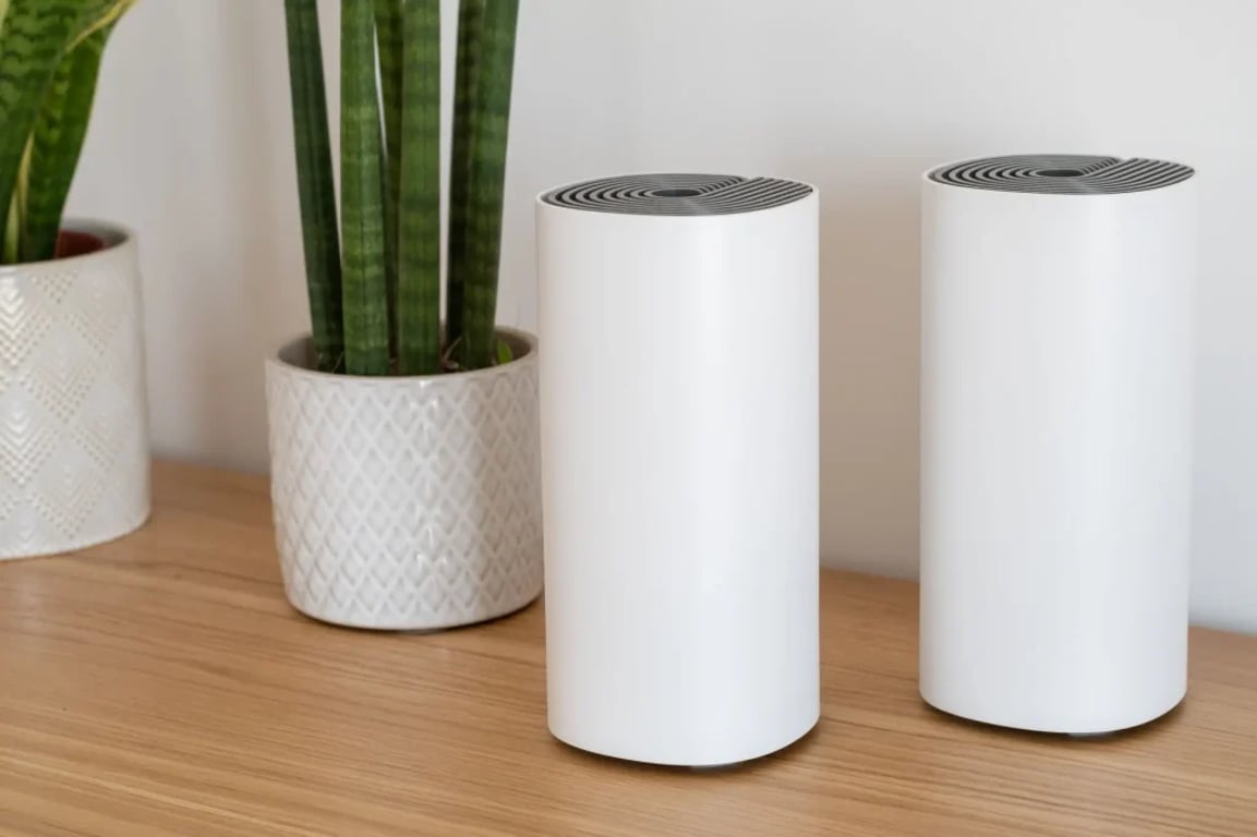 Mesh Wi-Fi na stole, v pozadí květina