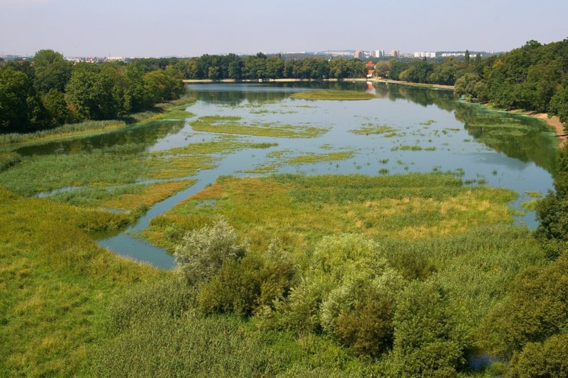 Silničáři rozšíří Pražský okruh nad Počernickým rybníkem na šest pruhů