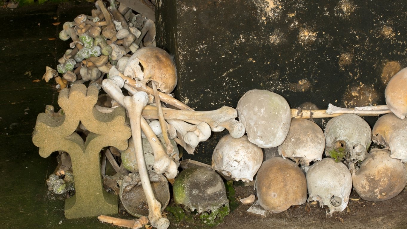 Průzkumník narazil na pohřebiště, které odporuje logice. Lidské kosti tam mají rozměry, jaké by patřily obrům