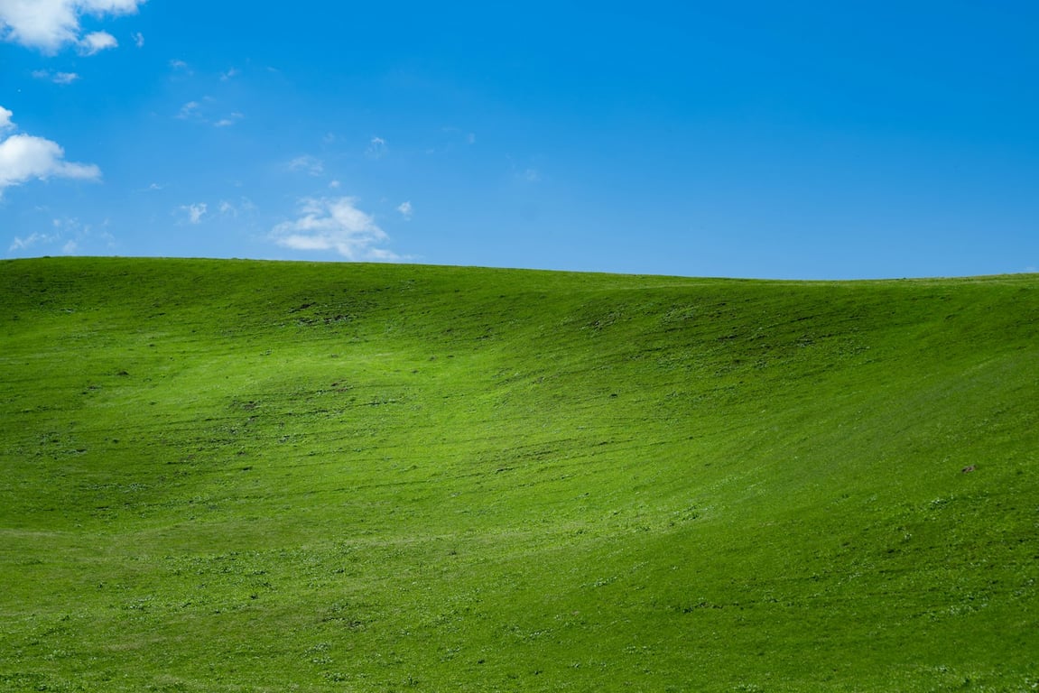 Microsoft a piráti: Jak nelegální Windows XP pomohly ovládnout svět
