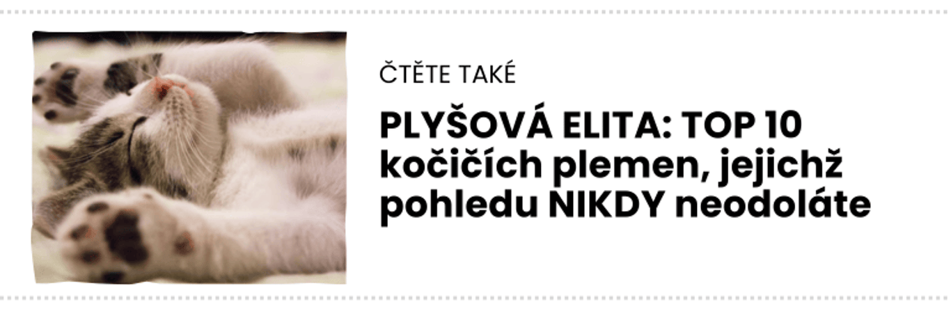 čTĚTE TAKÉ (3)