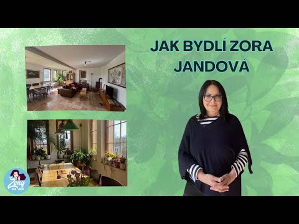 Video k článku