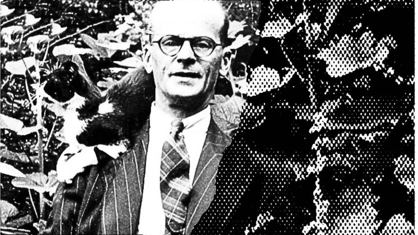MUŽ, KTERÝ VONĚL SMRTÍ: John Reginald Christie. Co sousedé necítili v tichém domě sériového vraha?
