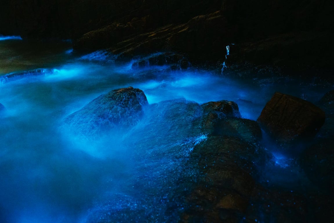 Moře jako tekuté hvězdy: Navštivte pláže, kde každý váš krok rozsvítí písek – jak funguje bioluminiscence?
