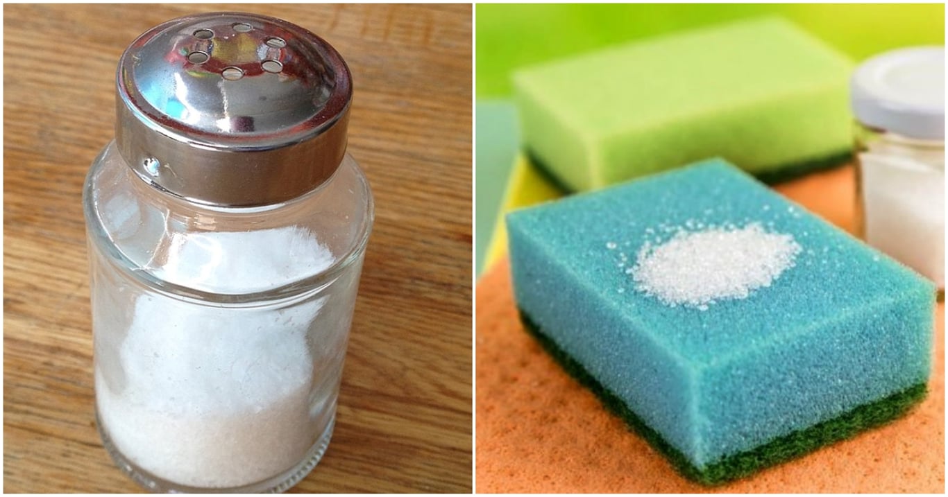 Houbička se solí překvapila i profesionály. Lidé bez myčky tvrdí, že tak čisté nádobí neměli nikdy