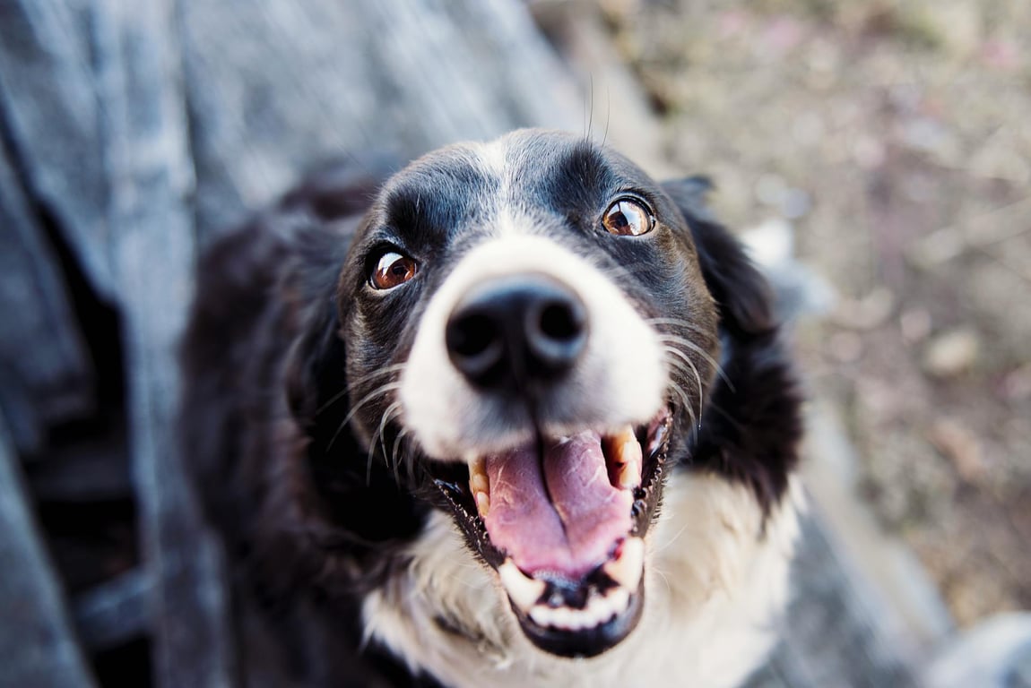 pexels-katlovessteve-551628