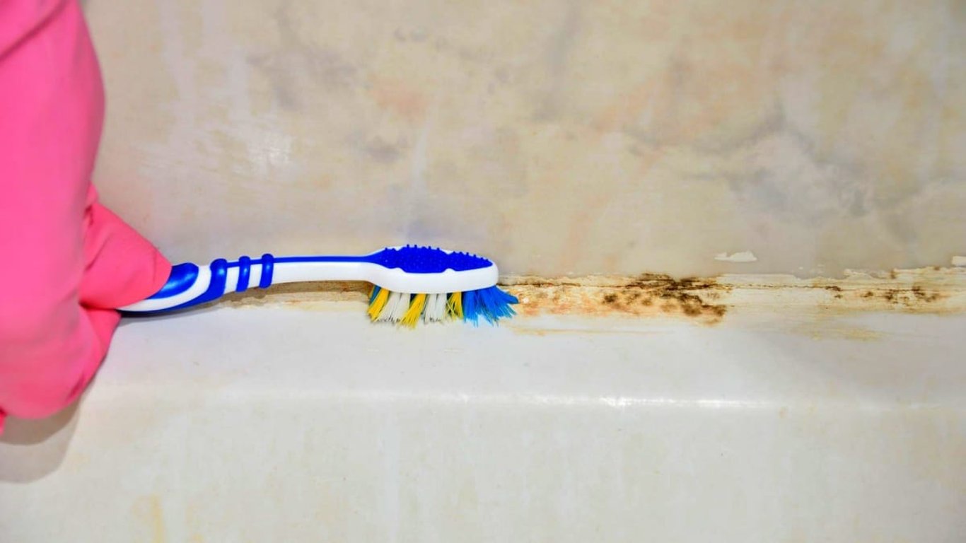 Sousedčin šálek s nenápadnou směsí způsobil malý zázrak. Na plíseň a vodní kámen fungoval dokonale