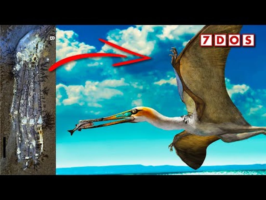 Video k článku ZDE