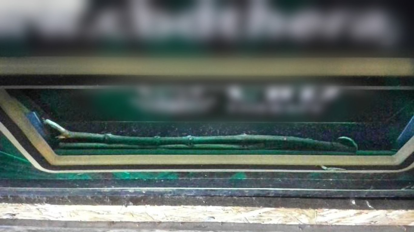 Mladík dobyl klacky výdejní automat. Ukradené zboží nabízel dál