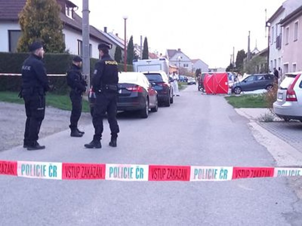 Policie zastřelila nedaleko Prahy lva, který utekl z klece a poranil ošetřovatele