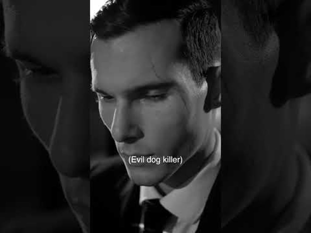 Video k článku ZDE