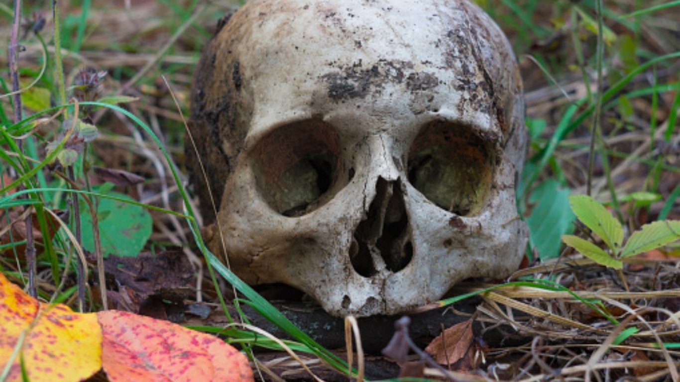 Přátelství přerostlo v noční můru. Ten, kdo ji zabil a snědl, zůstal bez trestu