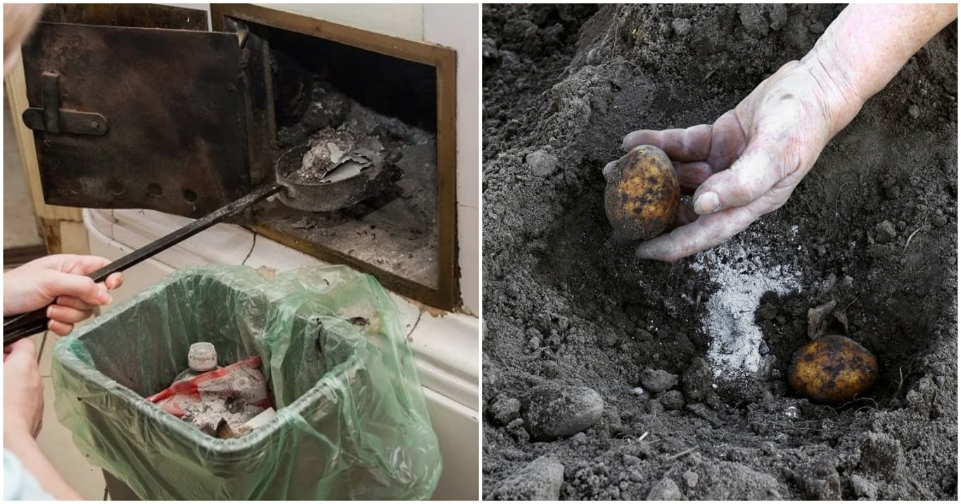 Jen blázen by vyhodil popel z krbu. Ti, kdo znají jeho tajemství, mají na zahradě náskok