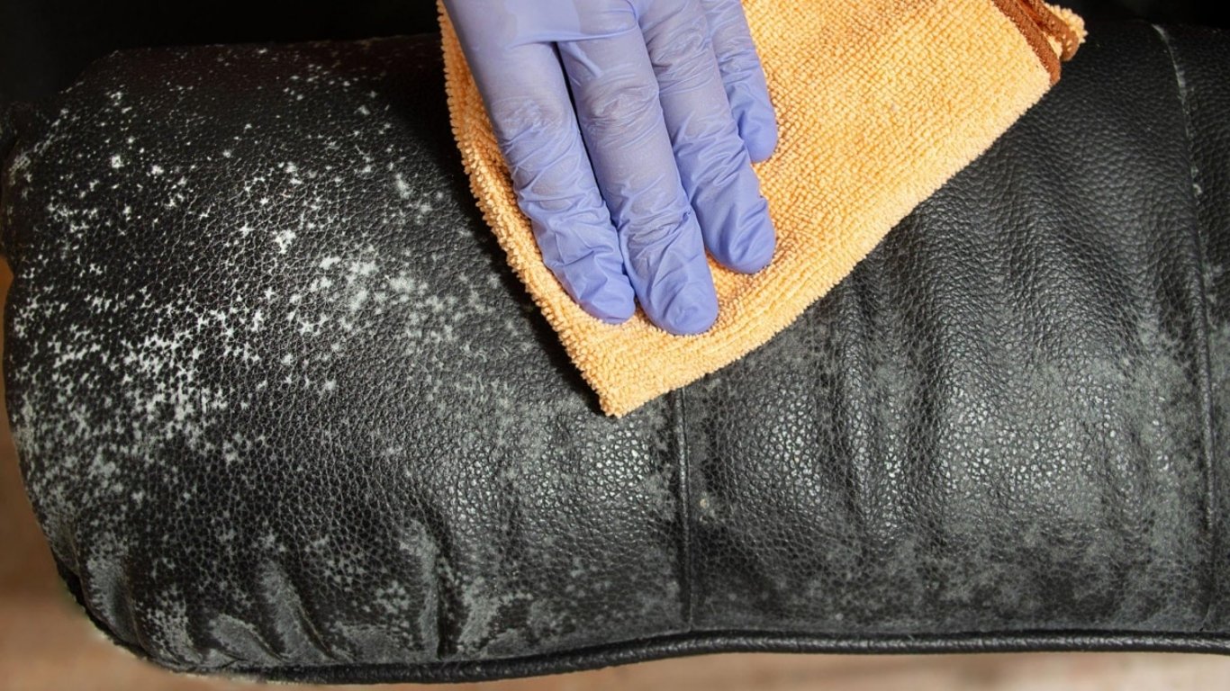 Kožené věci vypadaly ztraceně, dokud nepoužila tenhle trik. Odborníci potvrdili, že produkt z lednice funguje líp než chemie