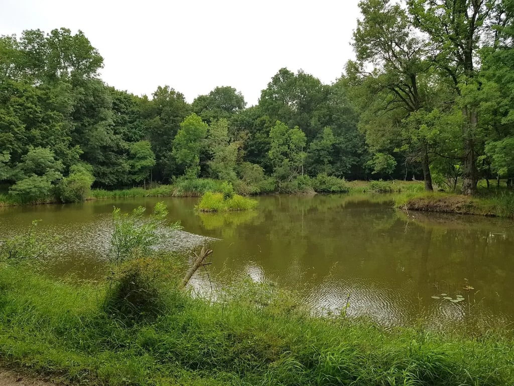 Dyjský trojúhelník