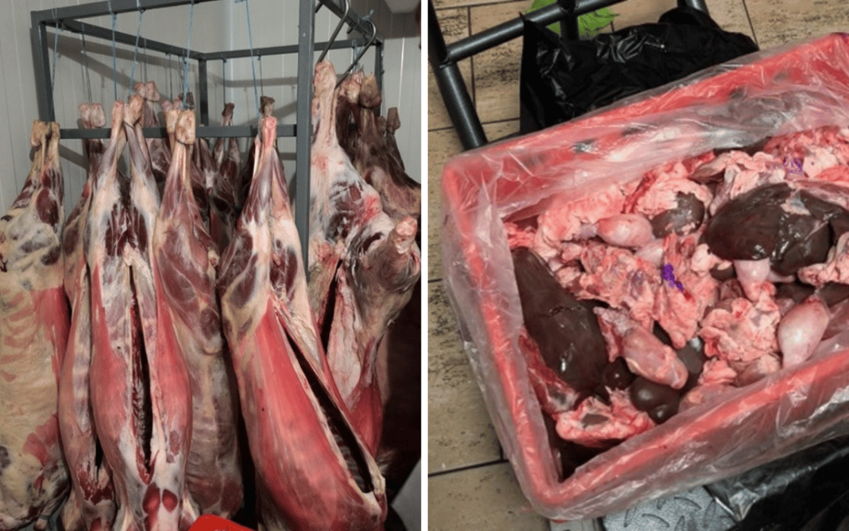 Pražské řeznictví prodávalo maso neznámého původu. Hrozí mu padesátimilionová pokuta