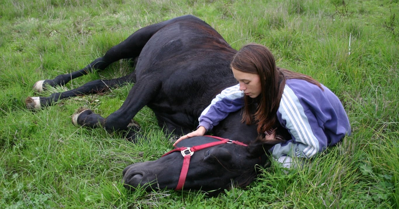 Farmář se vyděsil, když ve výběhu viděl nehybně ležícího koně. Když však přišel blíž, okamžitě se začal smát