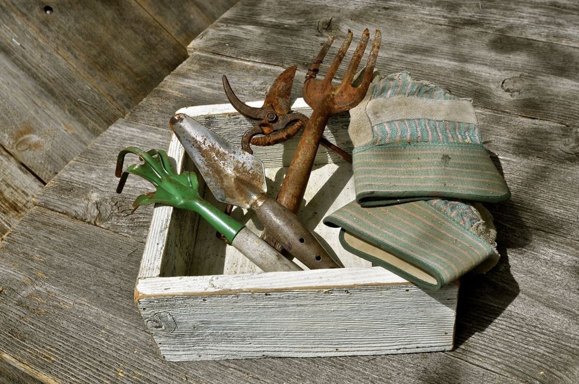 Jak odstranit rez odkudkoliv