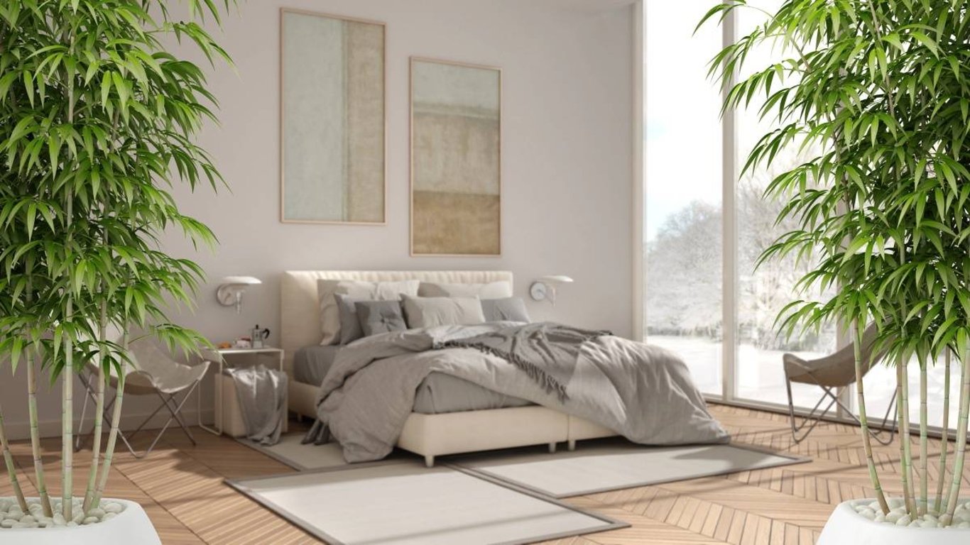 Feng Shui pohledem laika: Jak vám může strom života přinést hojnost