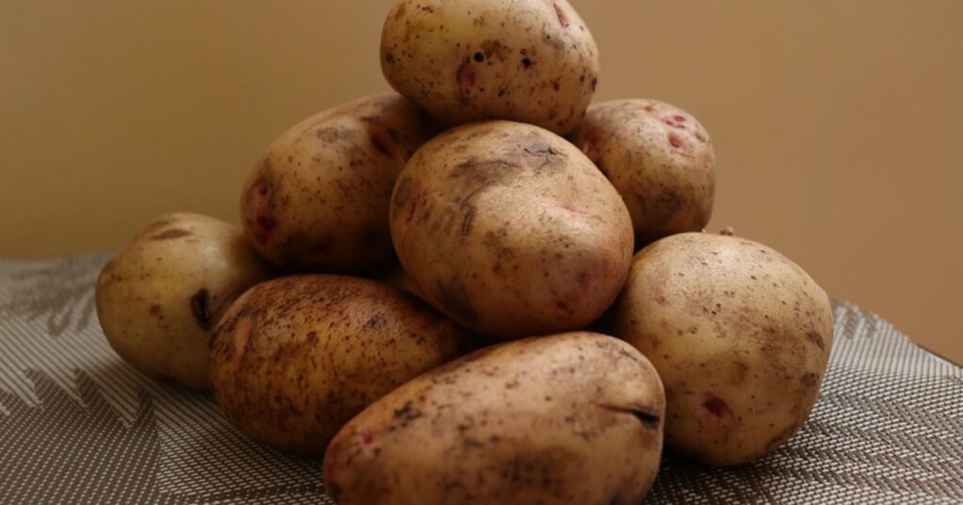 Tento babičkovský patent dnes už téměř nikdo nezná. Díky snadnému zavařování vám brambory vydrží čerstvé až 3x déle