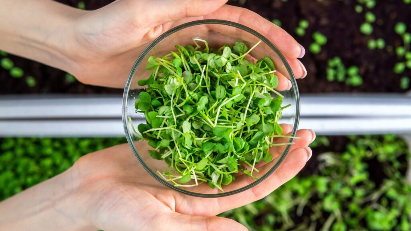 Vitamínová bomba v malém balení