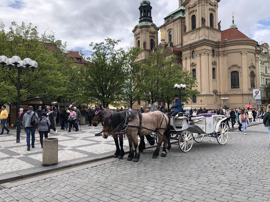 Praha zrušila nájem fiakrům, část radních je proti. Po výměně Pospíšila je chtějí zpět