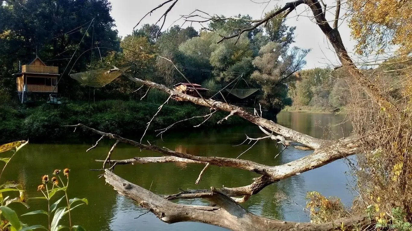 Panenská lužní krajina na jižní Moravě připomíná Amazonský prales. Nejkrásnější je, když opadává listí
