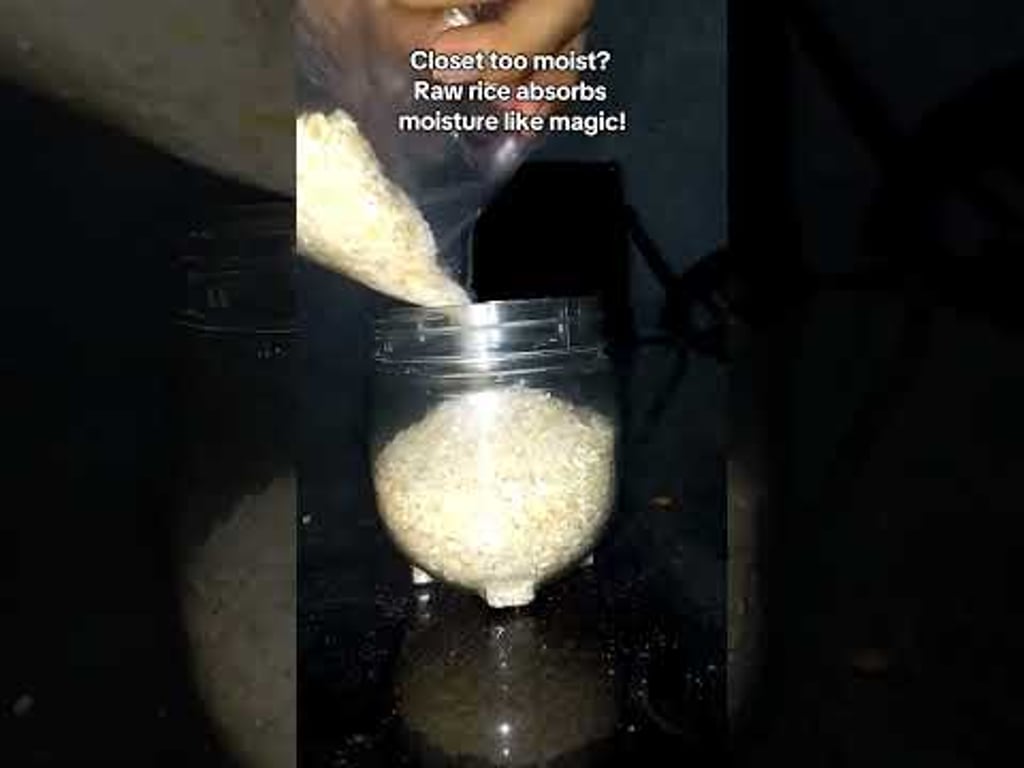 Video k článku ZDE