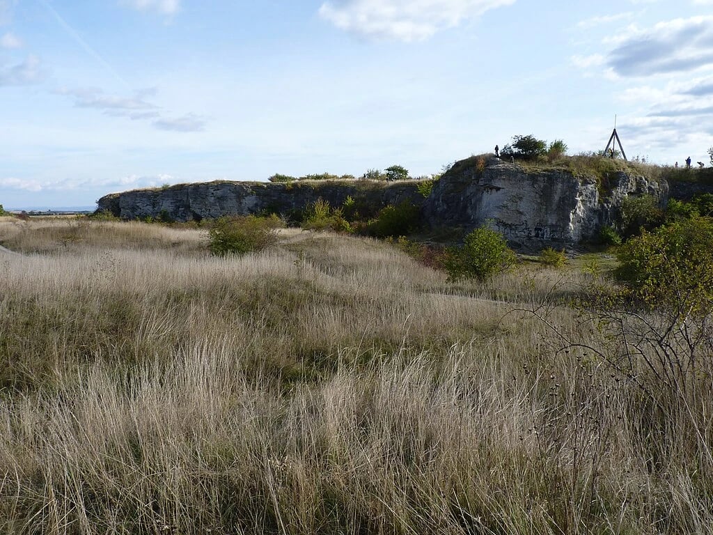 Psi znovu zabíjeli ovce na Stránské skále