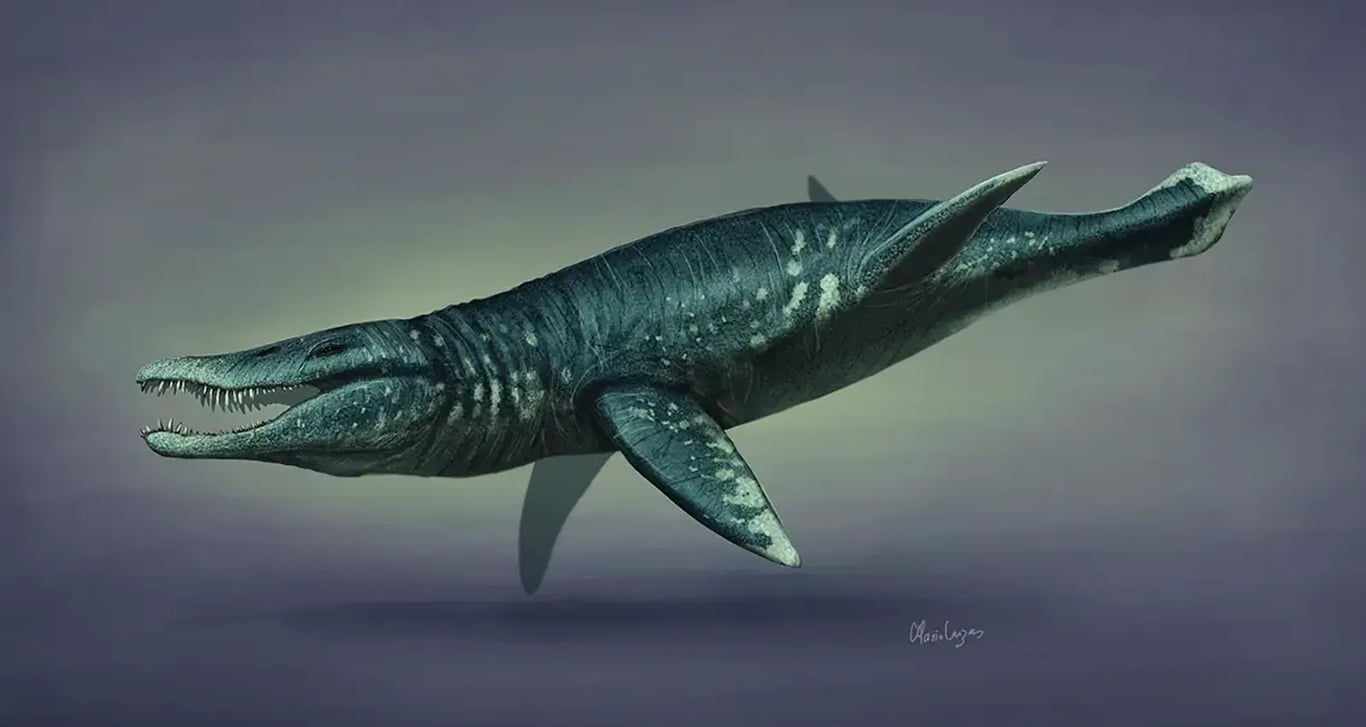 rekonstrukce podoby pliosaura