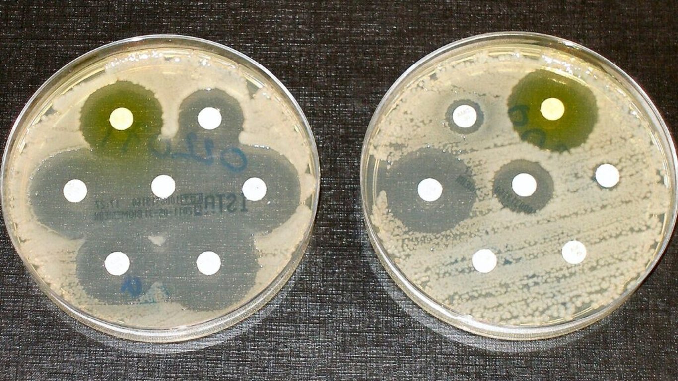 Hrozba v podobě genů antibiotické rezistence