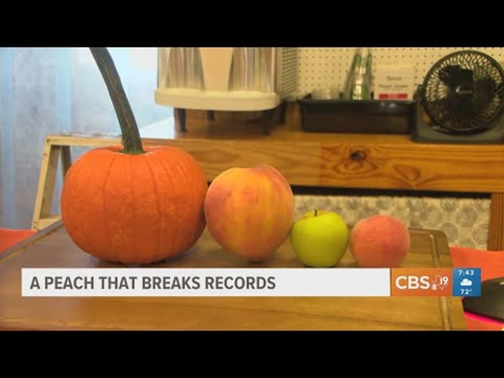 Video k článku ZDE