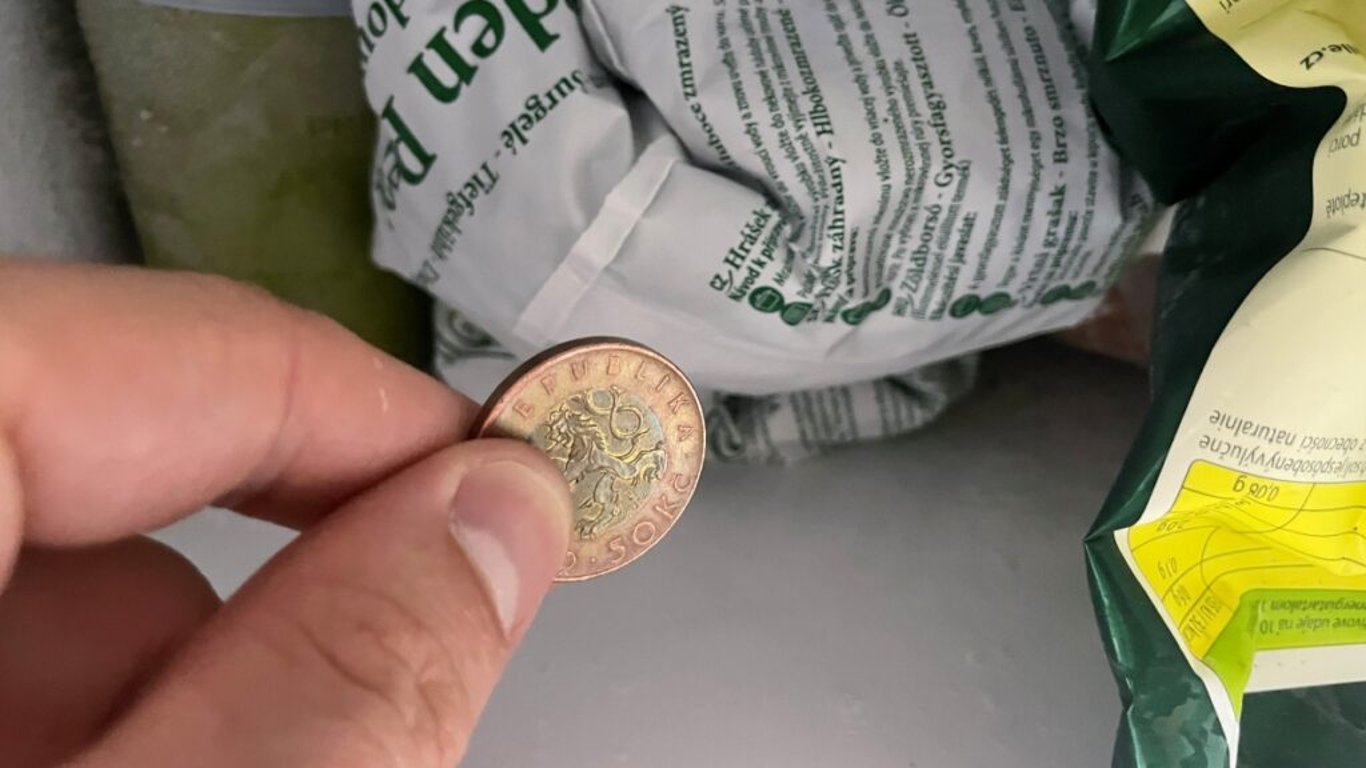 V zájmu vlastního bezpečí by měl každý do mrazáku umístit obyčejnou minci